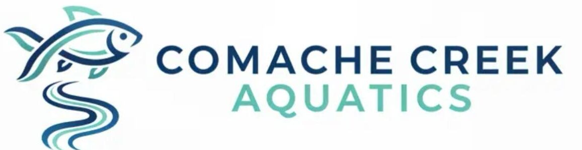 WhatsApp Image 2026-04-01 at 04.25.18 (1)