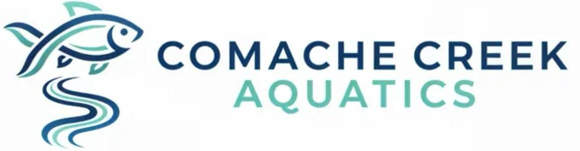 WhatsApp Image 2026-04-01 at 04.25.18 (1)